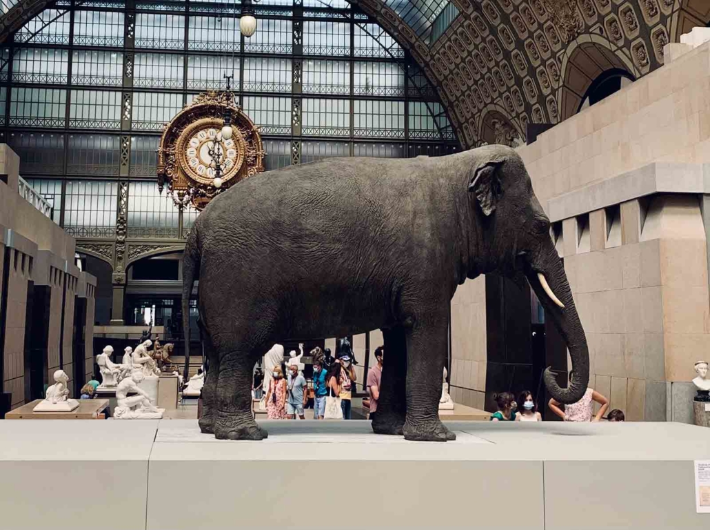 Retirement Age Versus Marketplace Reality: The Elephant in The Room- By Alexandra Humbel